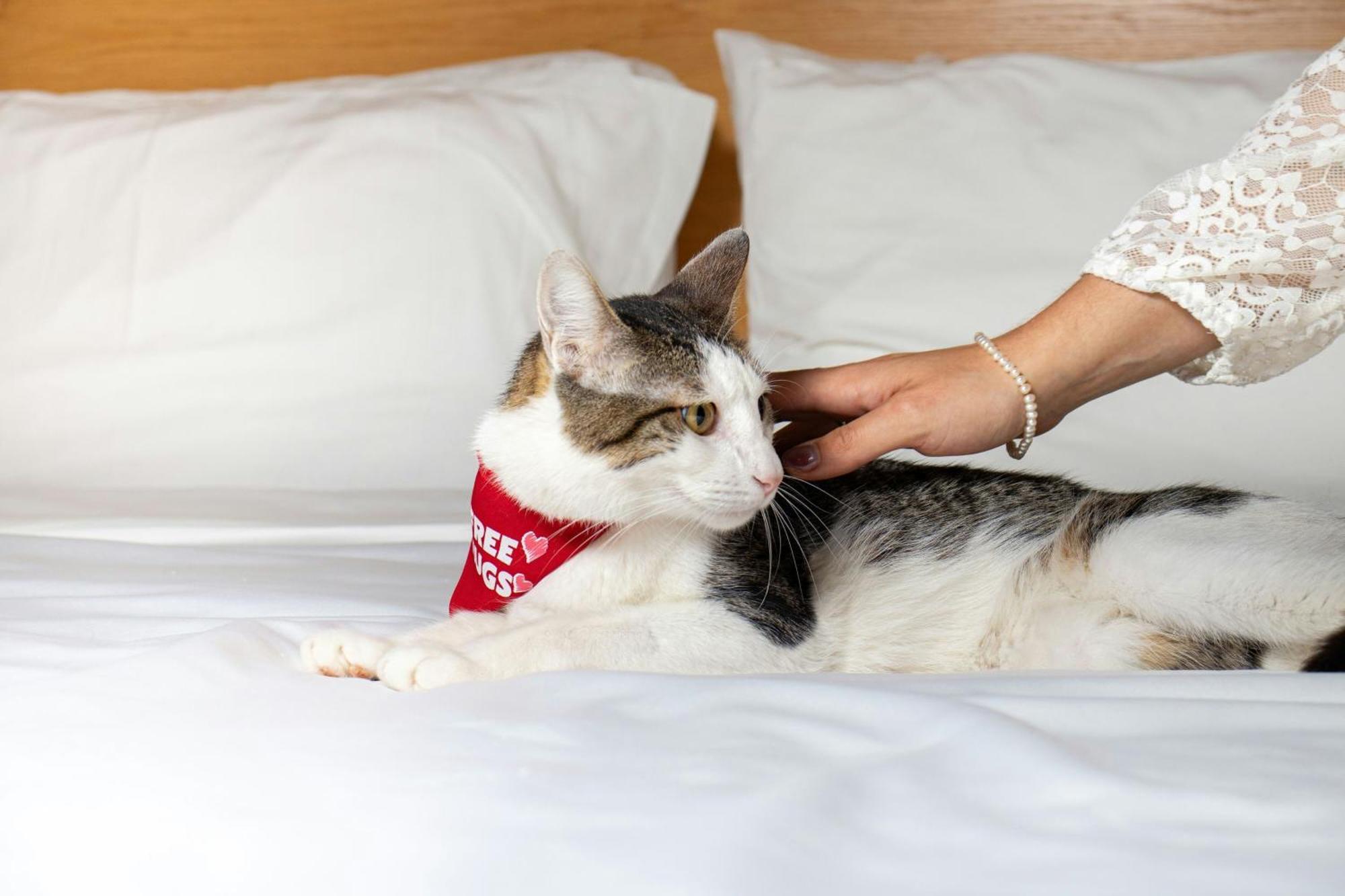 Four Points By Sheraton Cancun Centro Luaran gambar